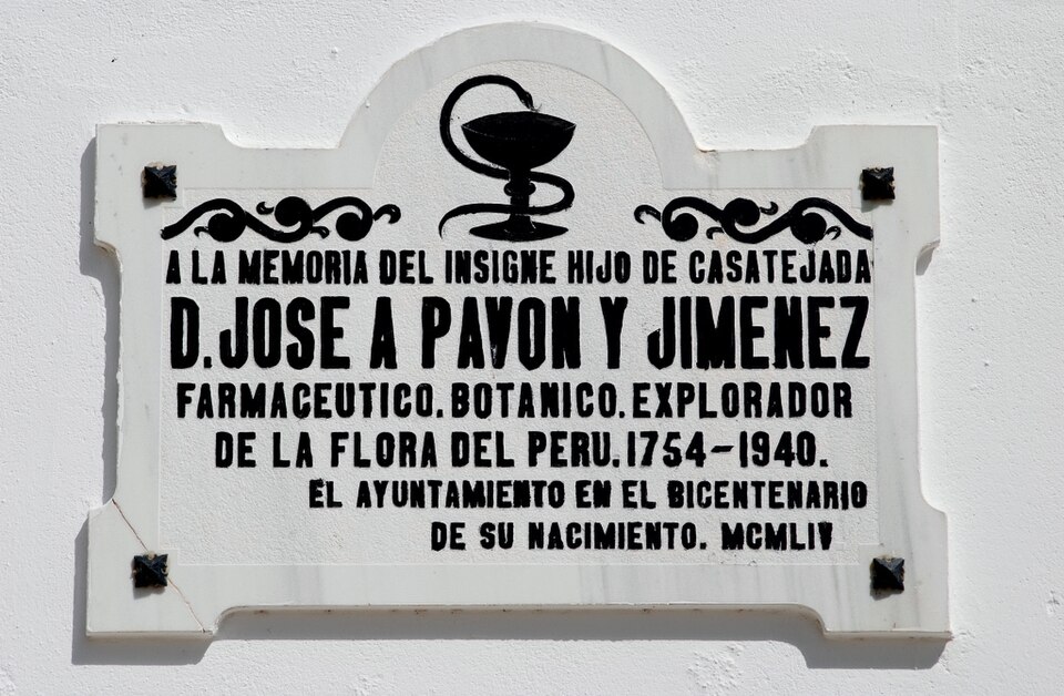 Antonio Pavón