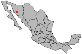 Antonio Salido Suárez