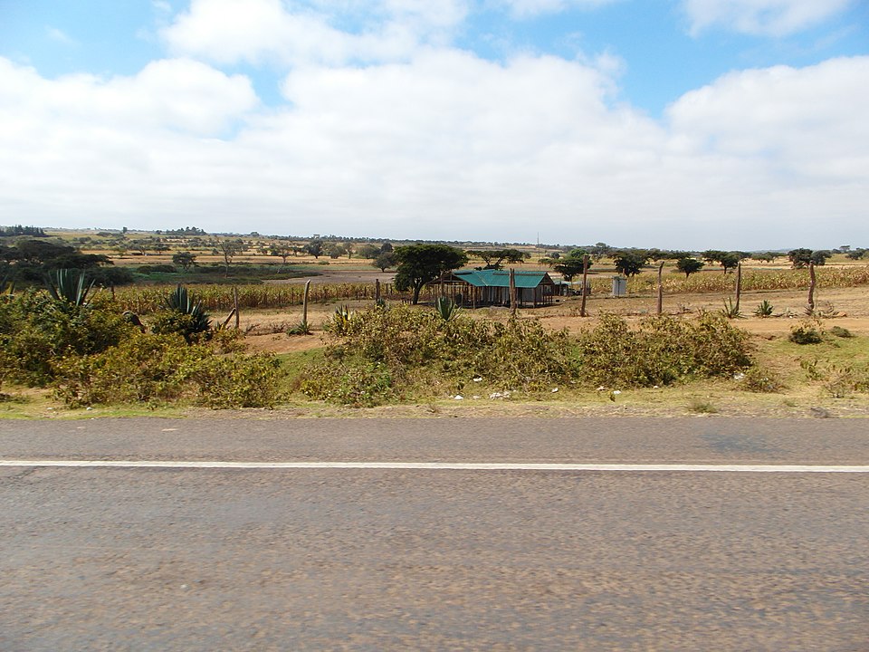 Antony Gitonga