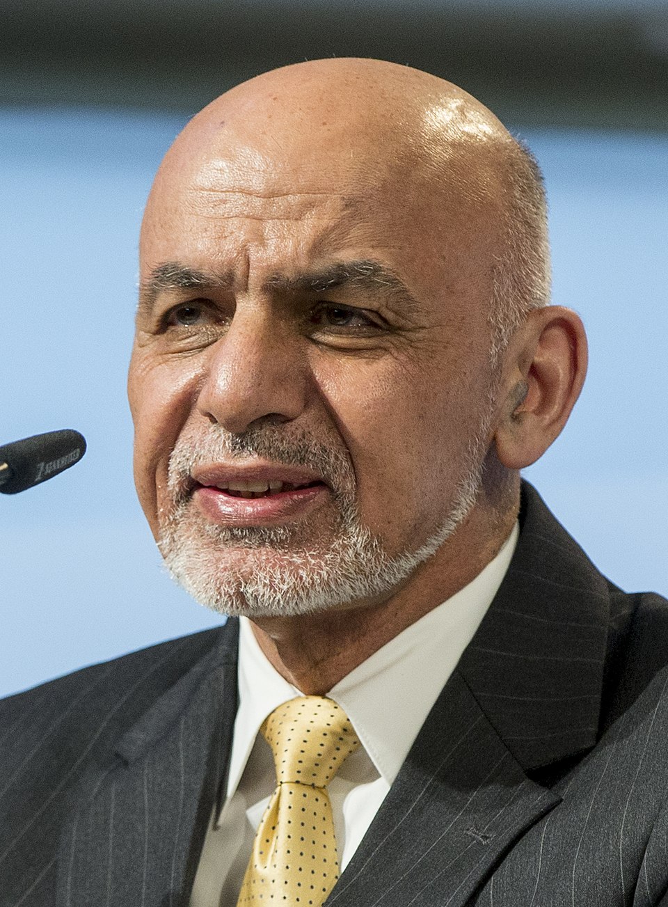 Anwar Ghani