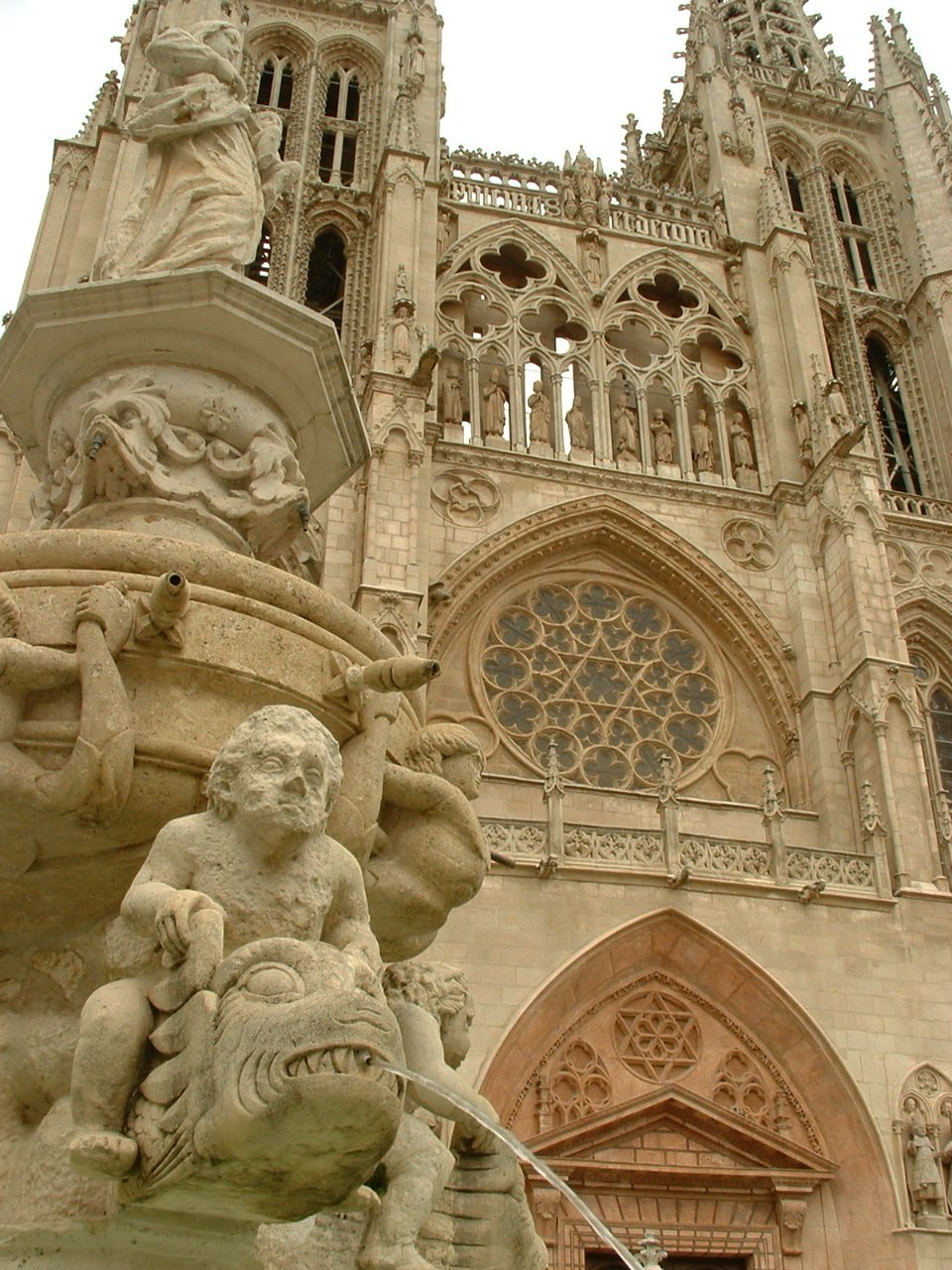 Archbishop of Burgos