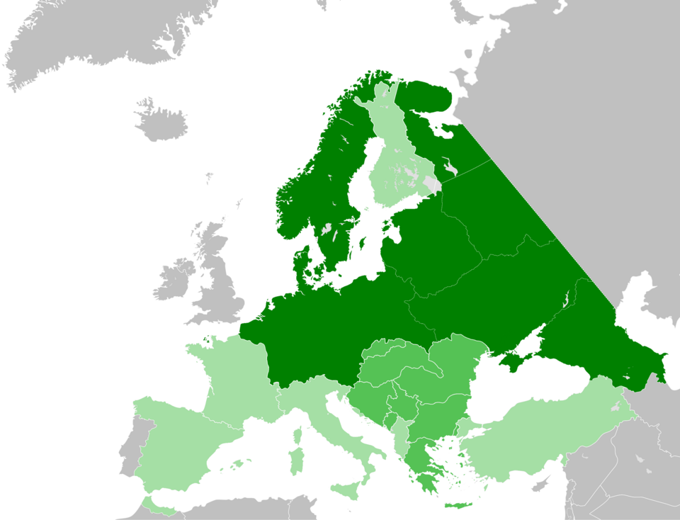 Ariel Reich