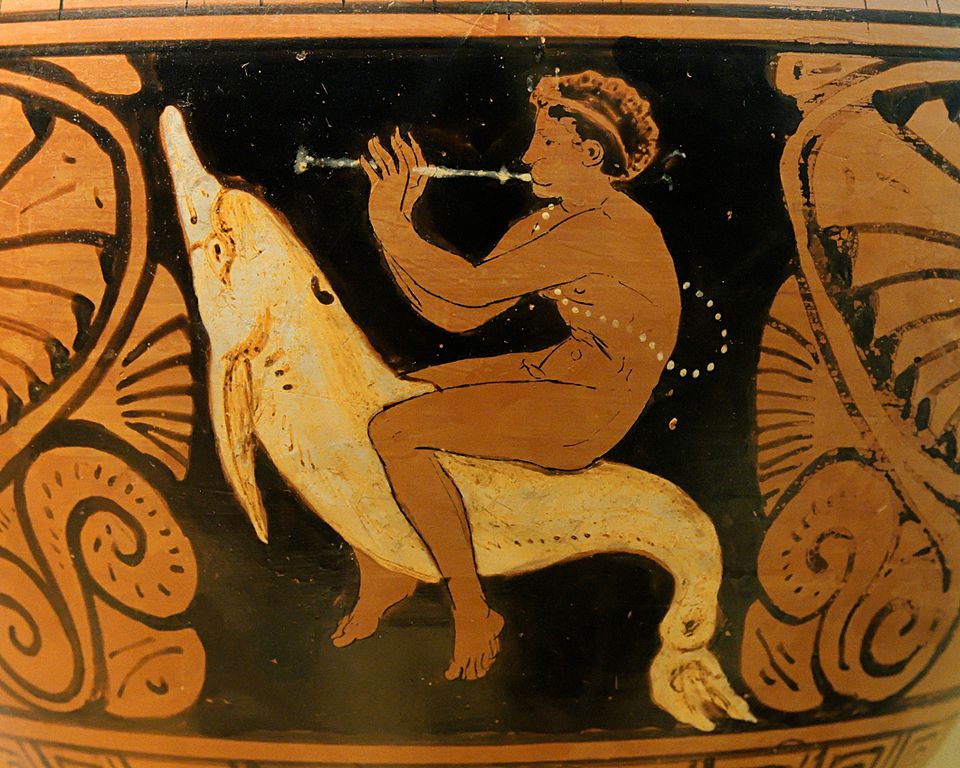 Arion