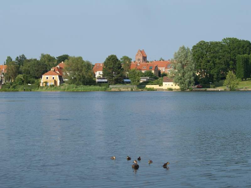 Arne Willerslev