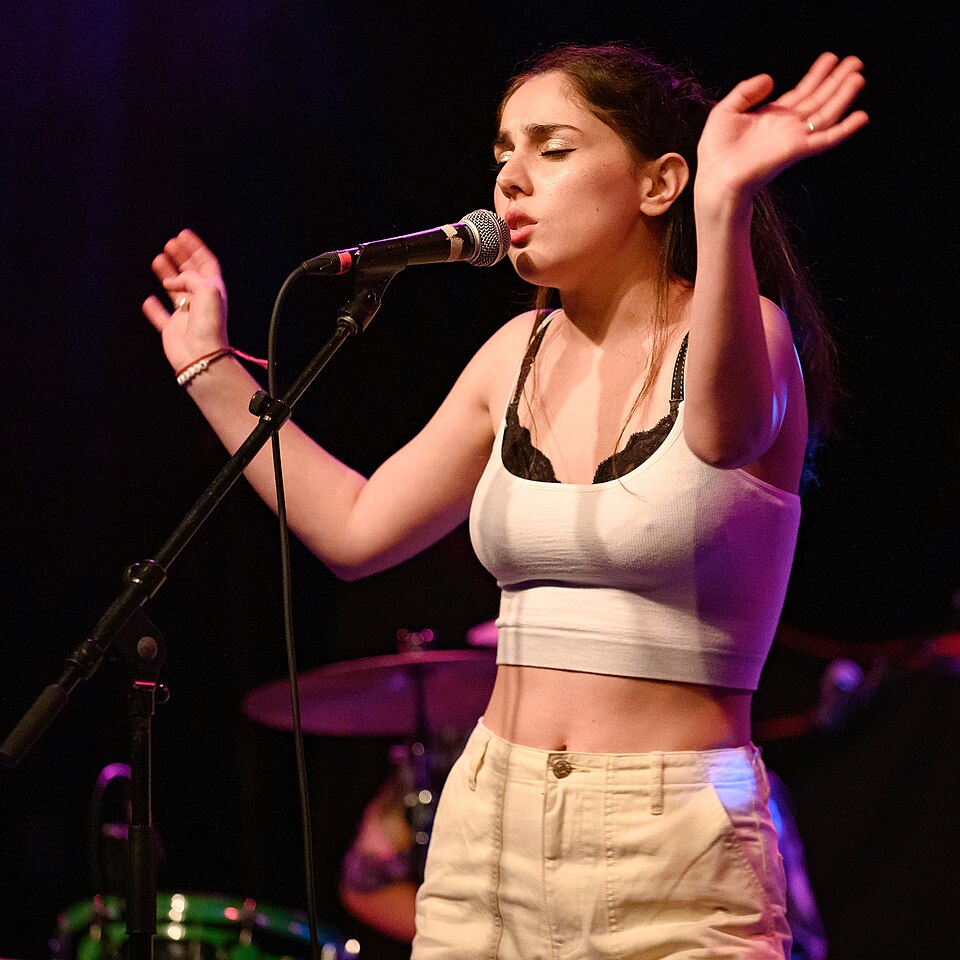 Aryeh Pink