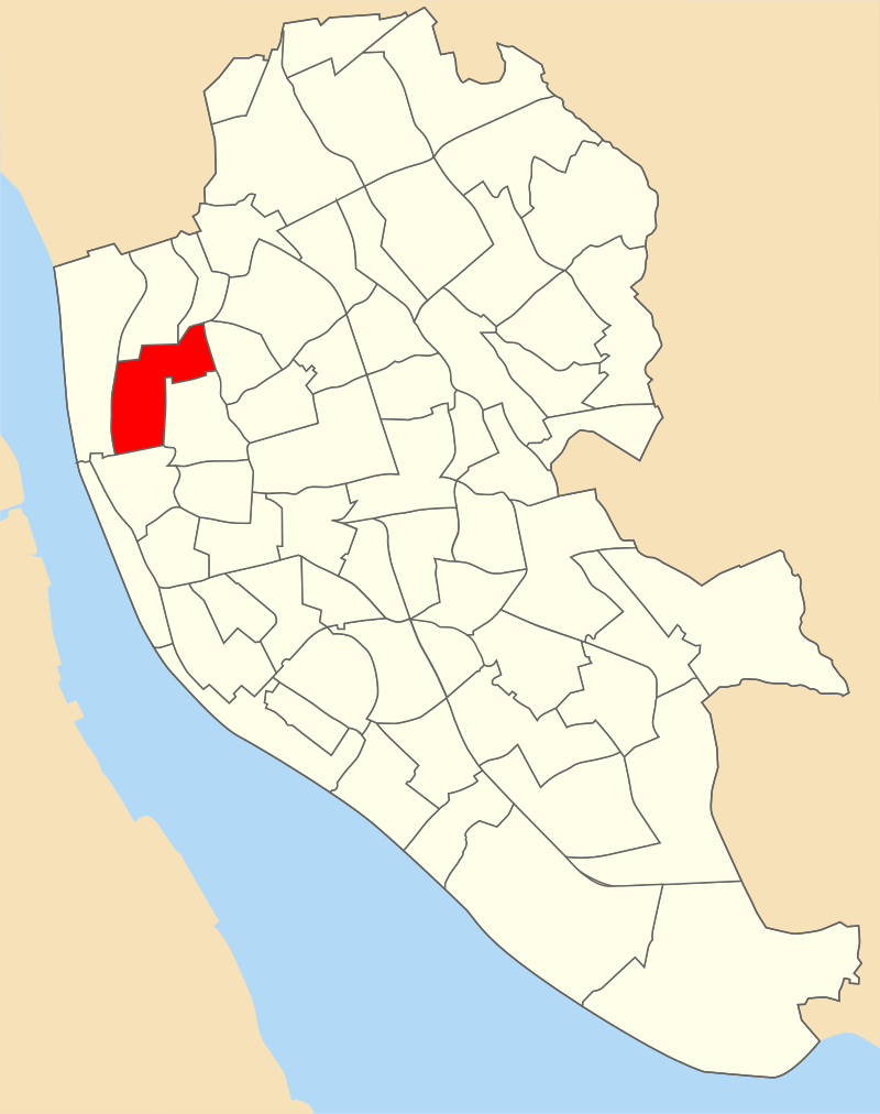 Assen Christov