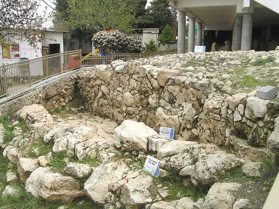 Avi Albaz