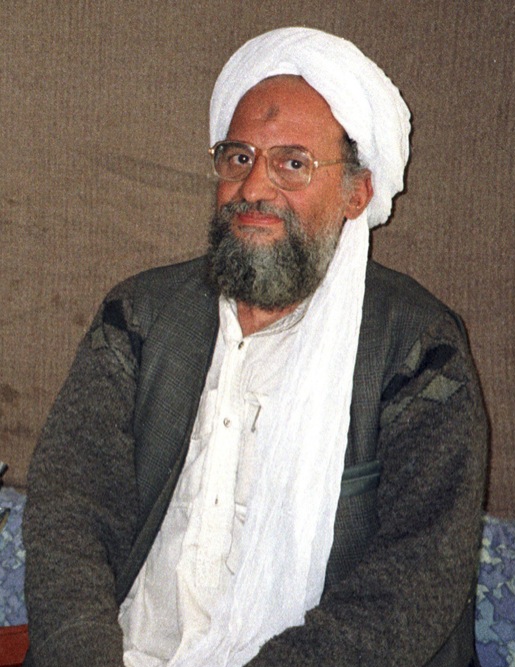 Ayman Ali