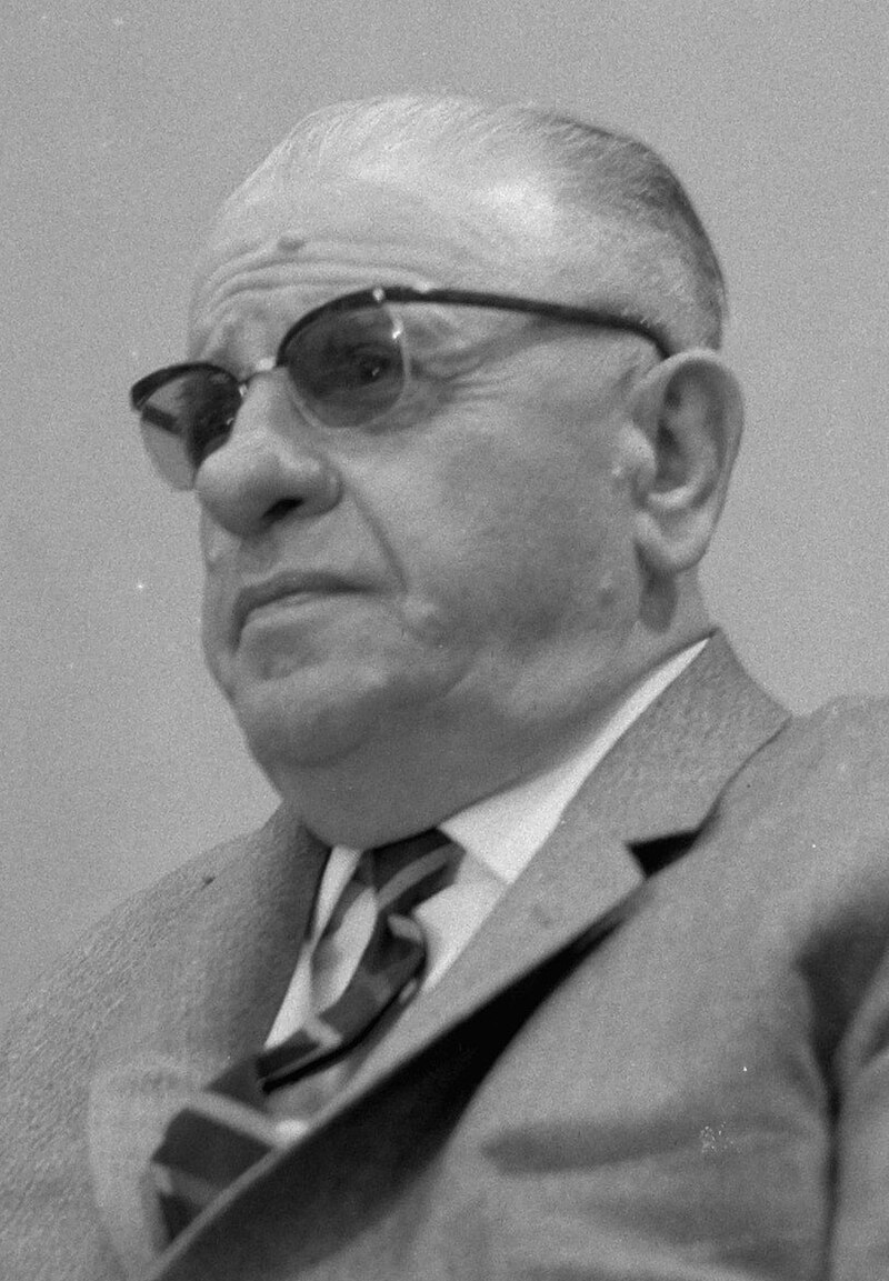Aysel Demirel