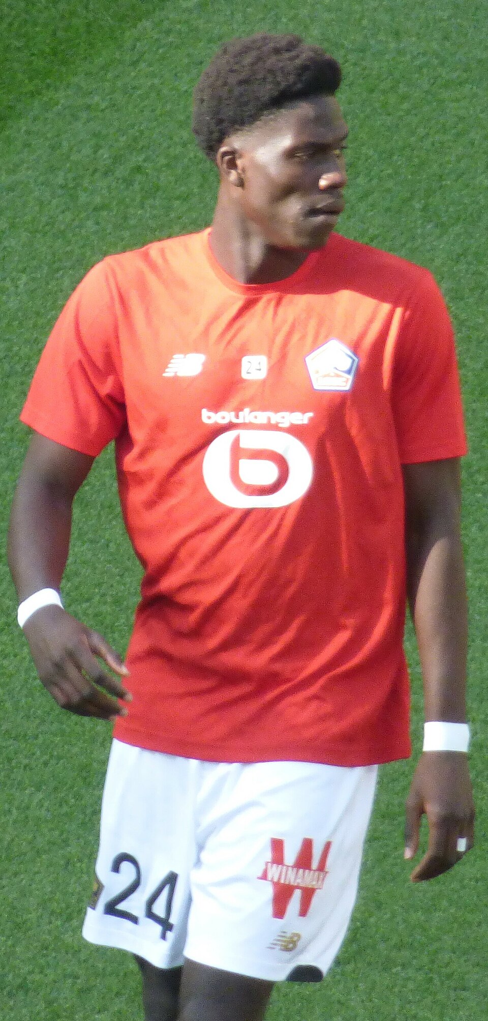 Ba Amadou Ba