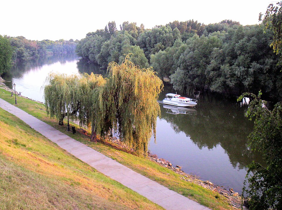 Bács Zoltán