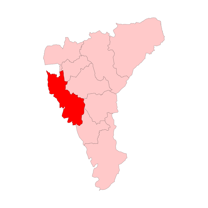 Bahar Mia