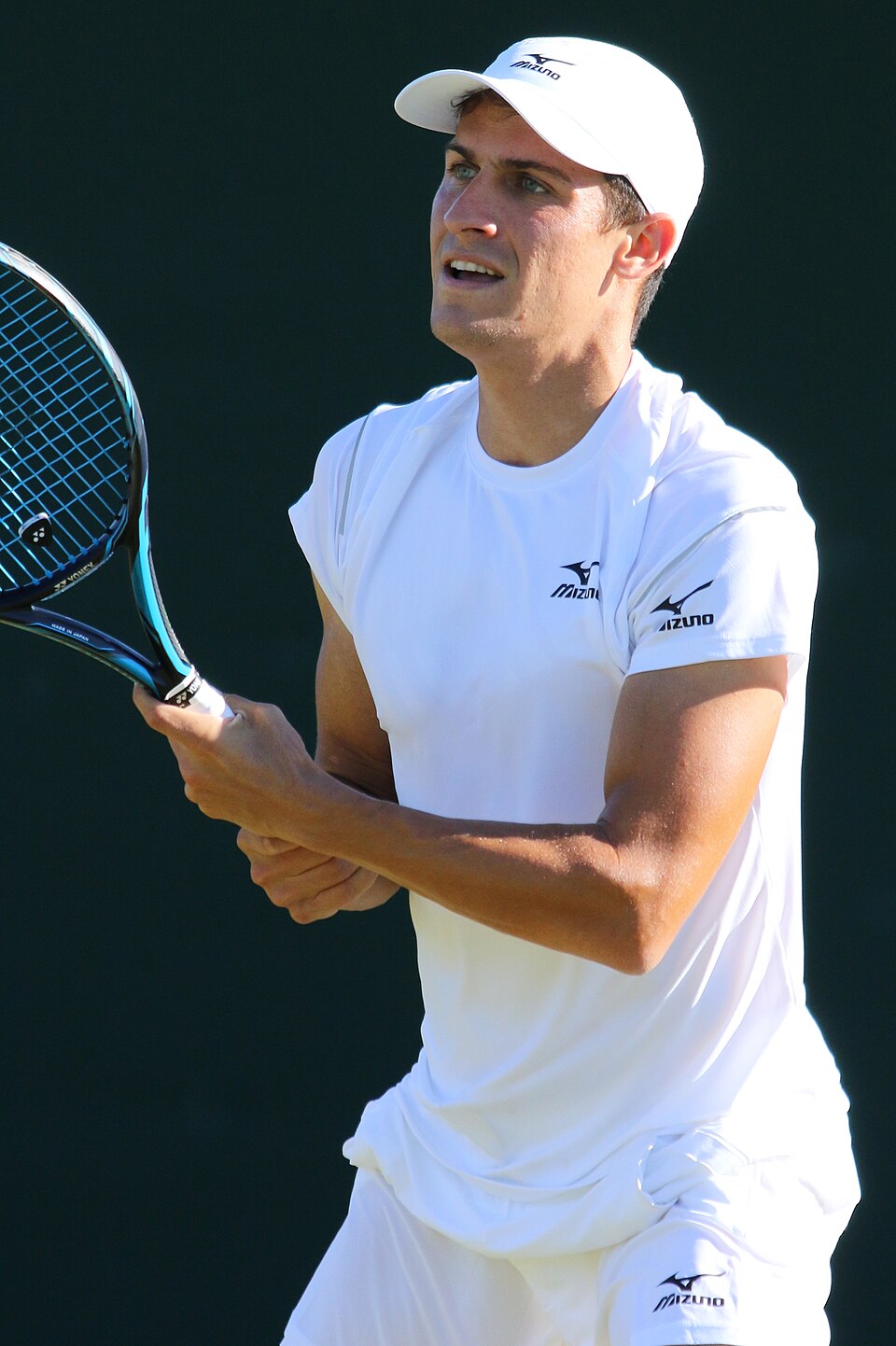 Balázs Attila