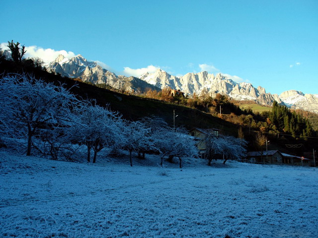 Baró