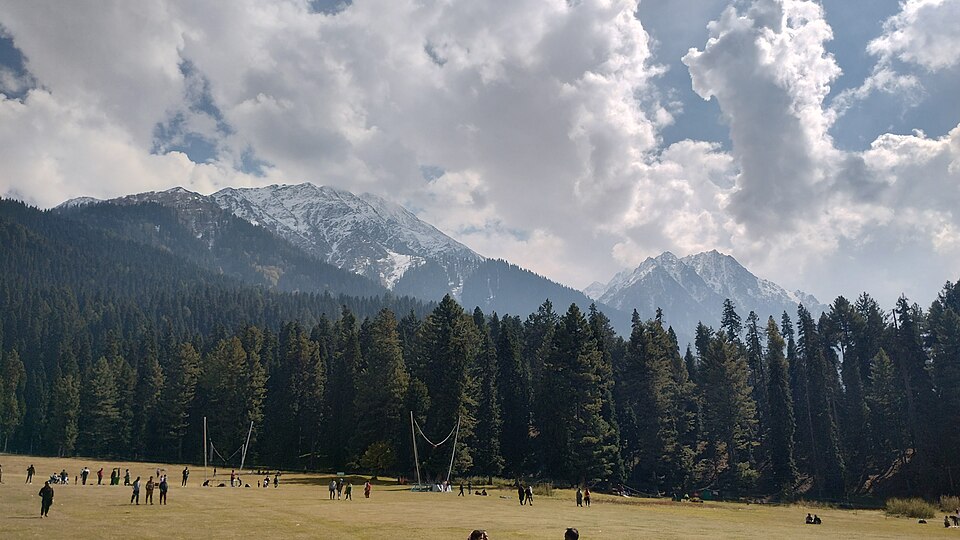 Basit Zargar