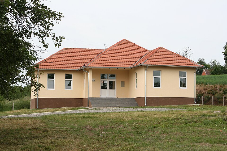 Beljin