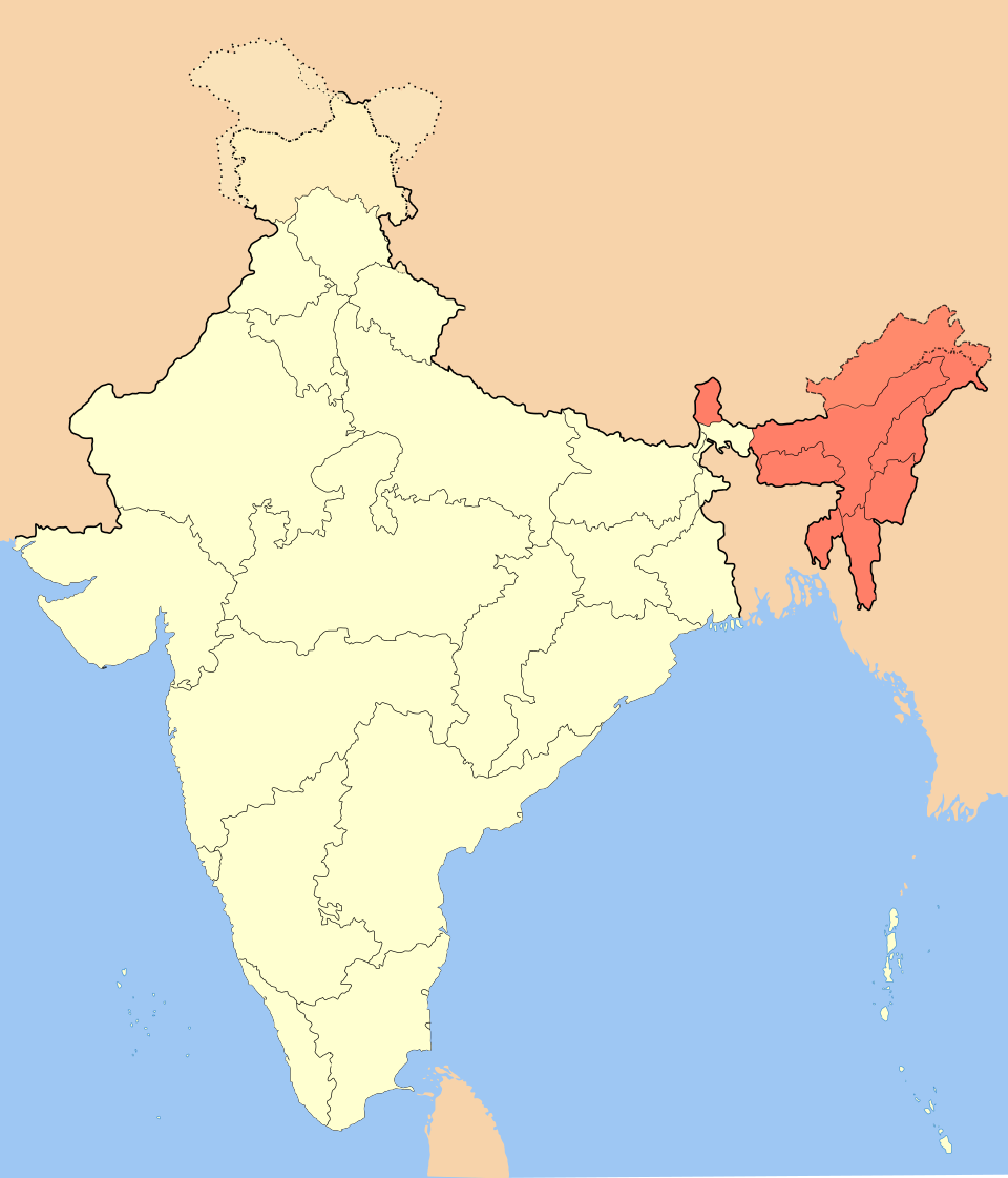 Bipin Johri