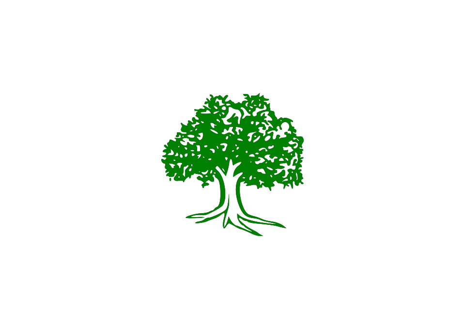 Bishwas Nepali