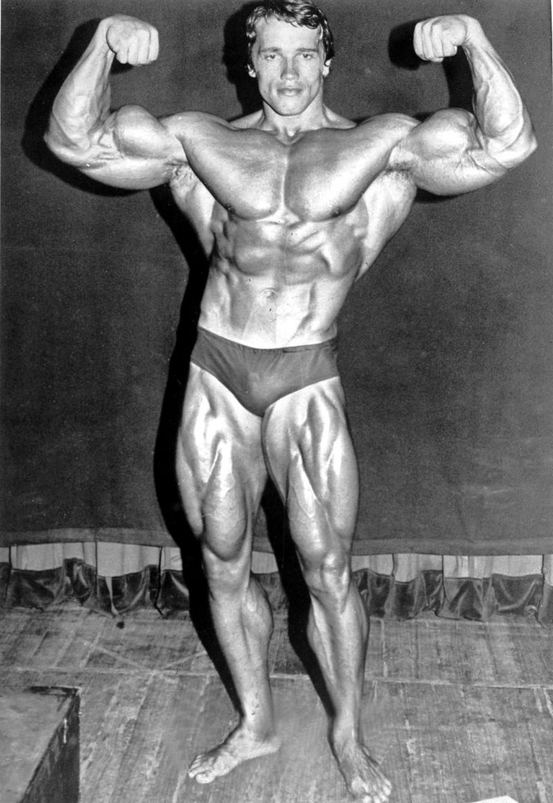 Body Builder