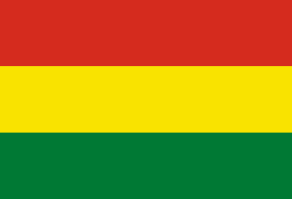 Bolivian National Football Team