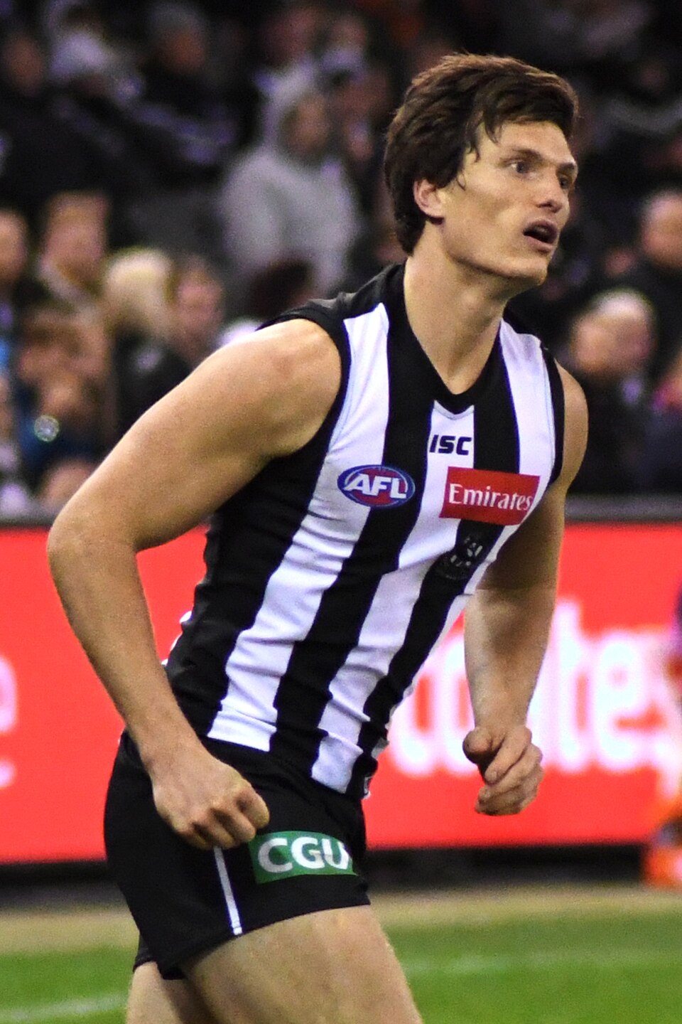 Brody Mihocek