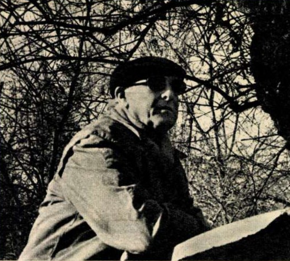 Brunea Fox