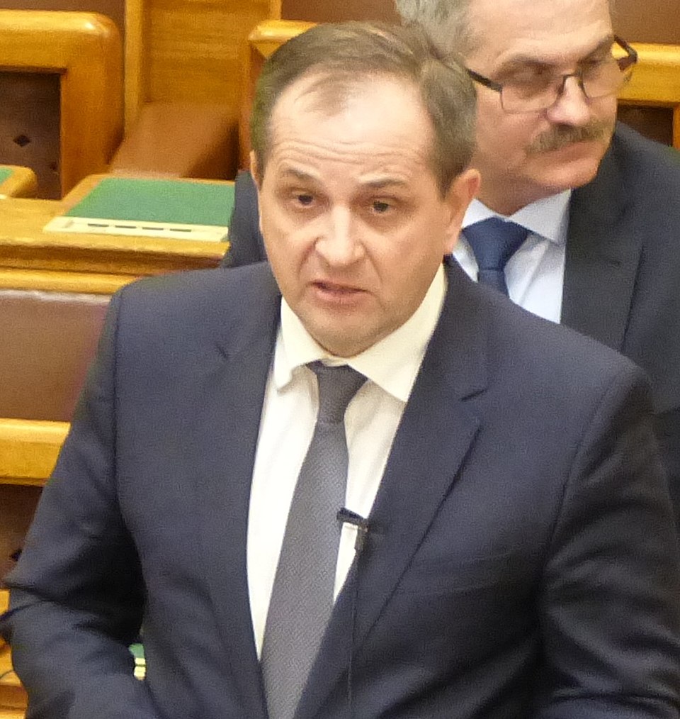 Budai Gyula