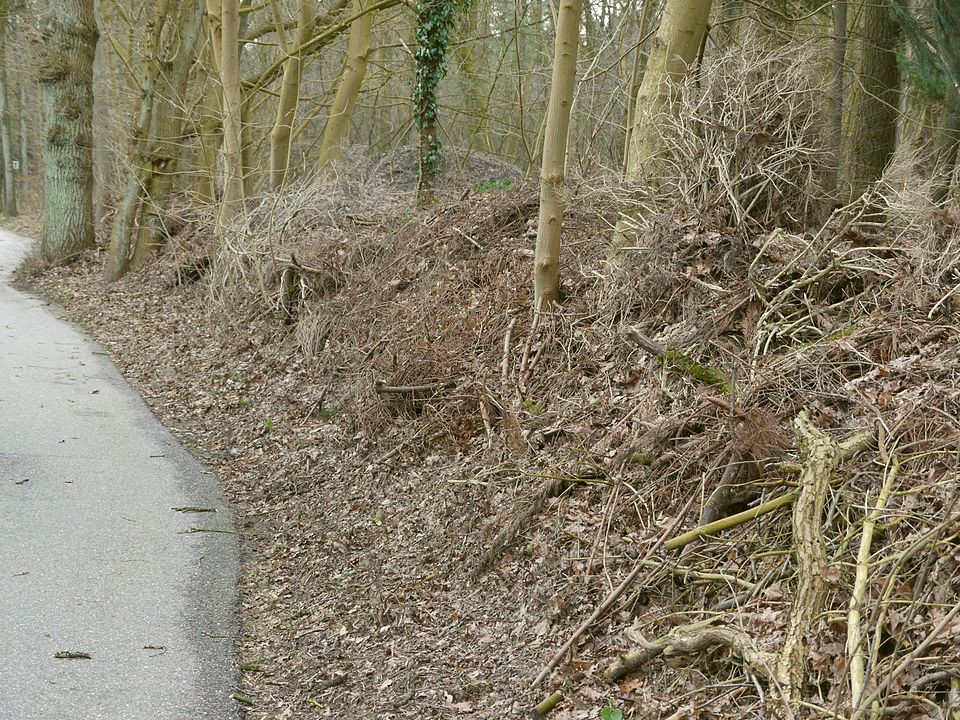 Burning Hedge