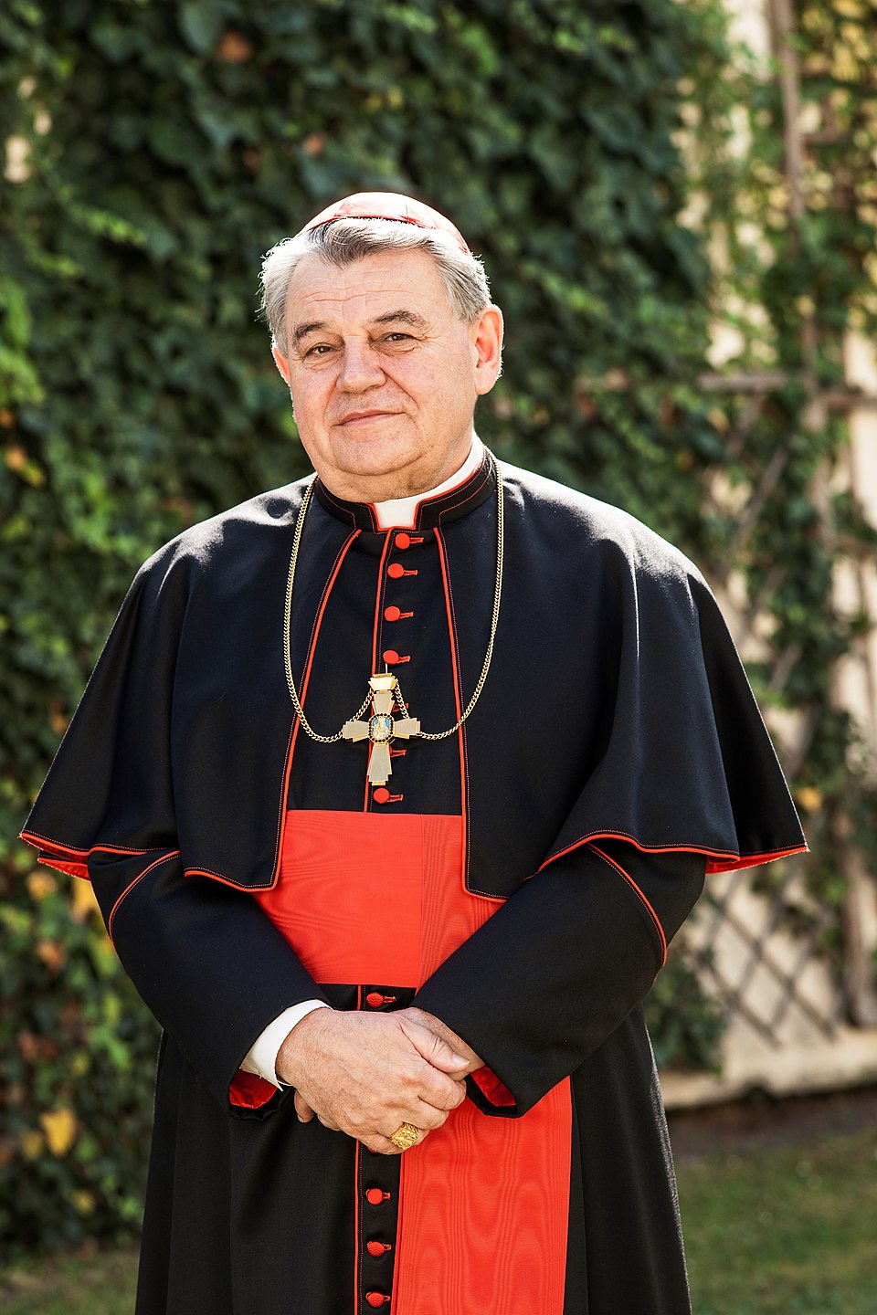 Cardinal Dominik Duka