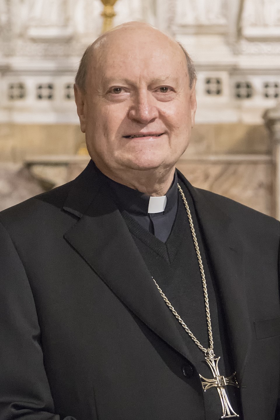 cardinal Ravasi