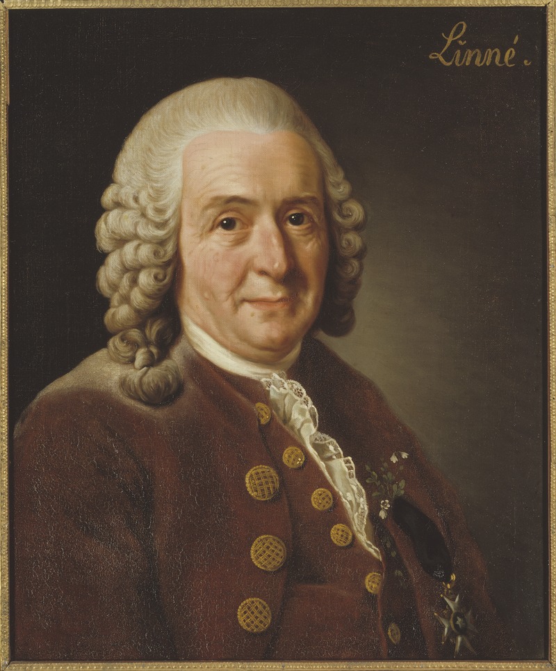 Carl von Linné