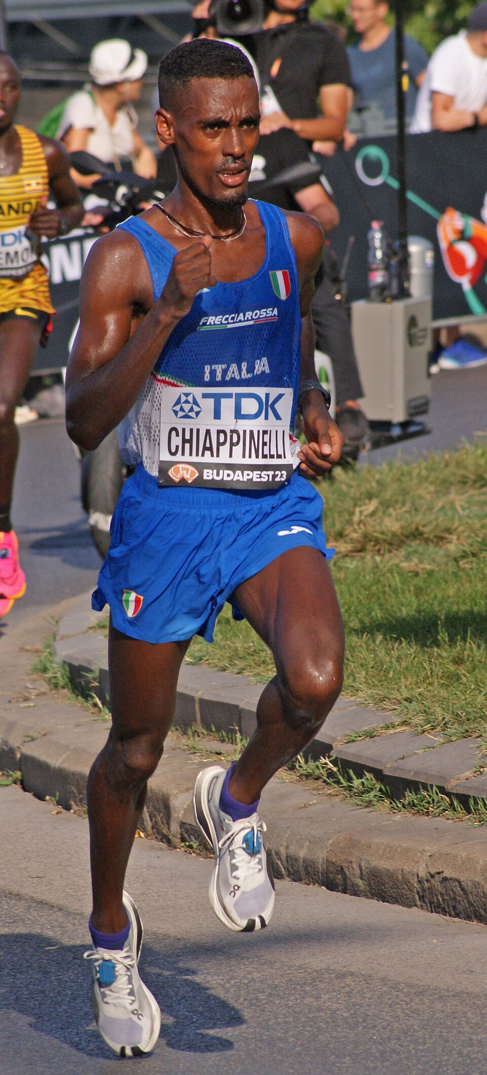 Carlo Chiappinelli