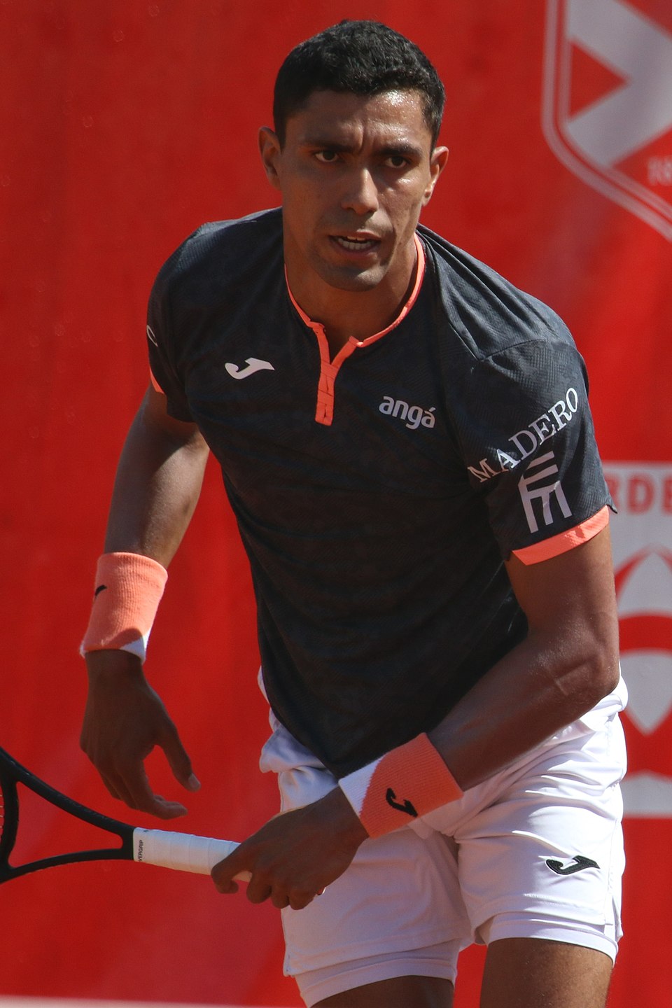 Carlos Braga Monteiro