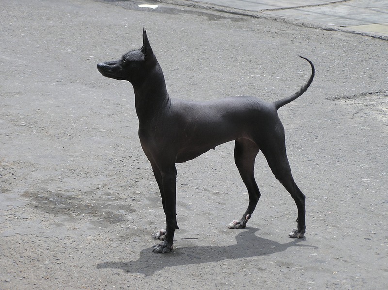 Carlos Esponda