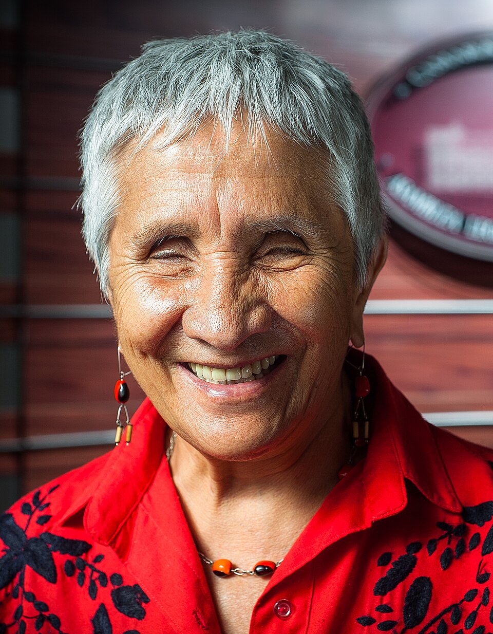 Carlos Milciades Miranda Ruiz Díaz