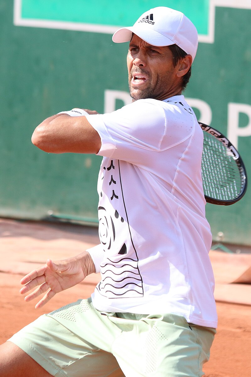 Carlos Verdasco