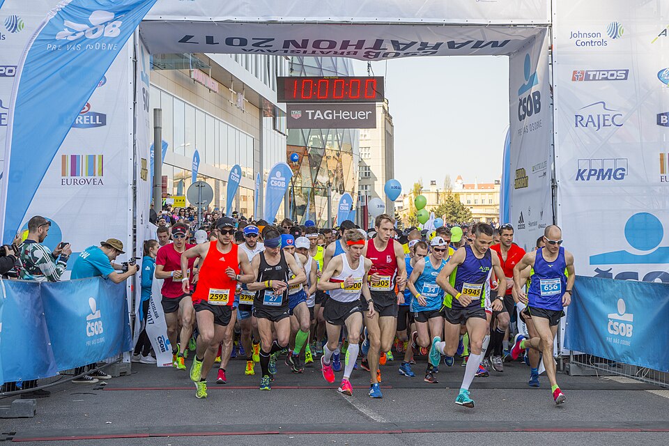 Catherine Trevallion