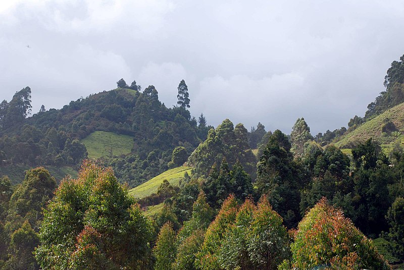 Charles Mwangi