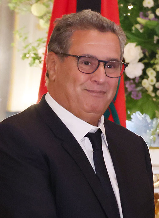 Chef du gouvernement
