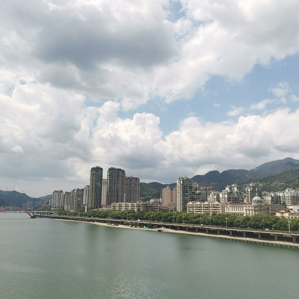 Chen Zhenwang