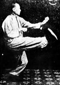 Cheng Qiwen
