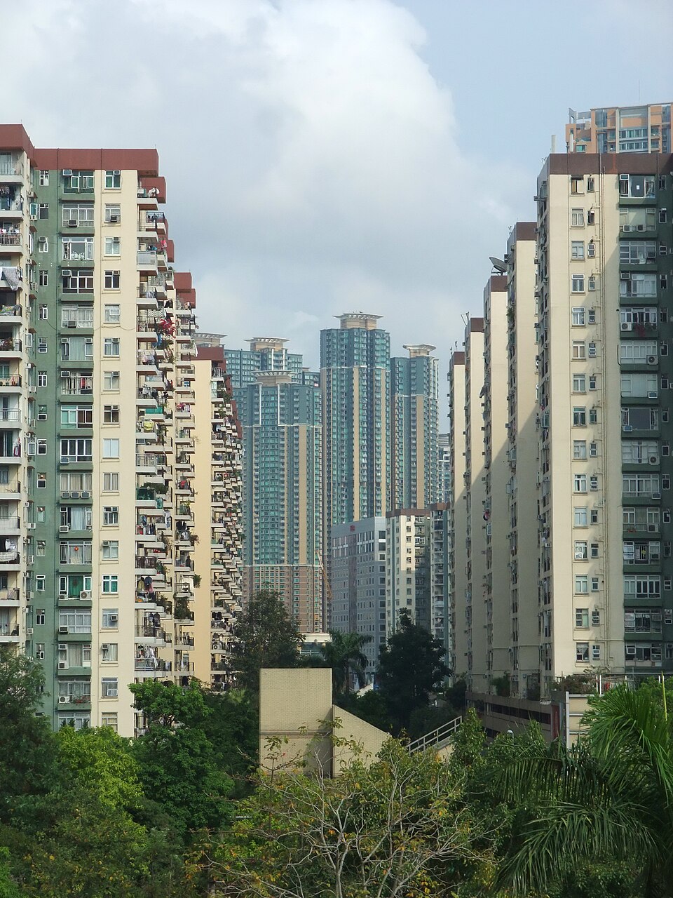 Cheung Chung-chi