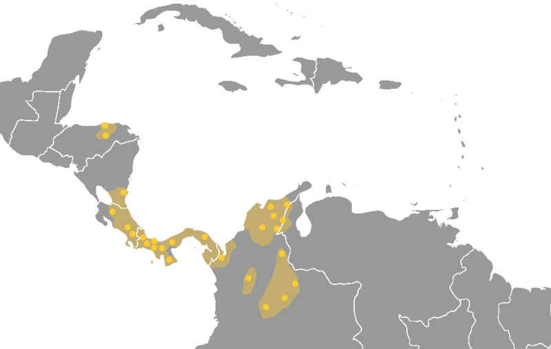 Christian González Ardila