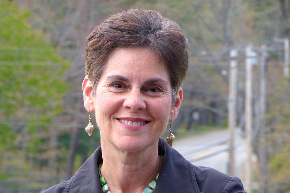 Christine Negroni