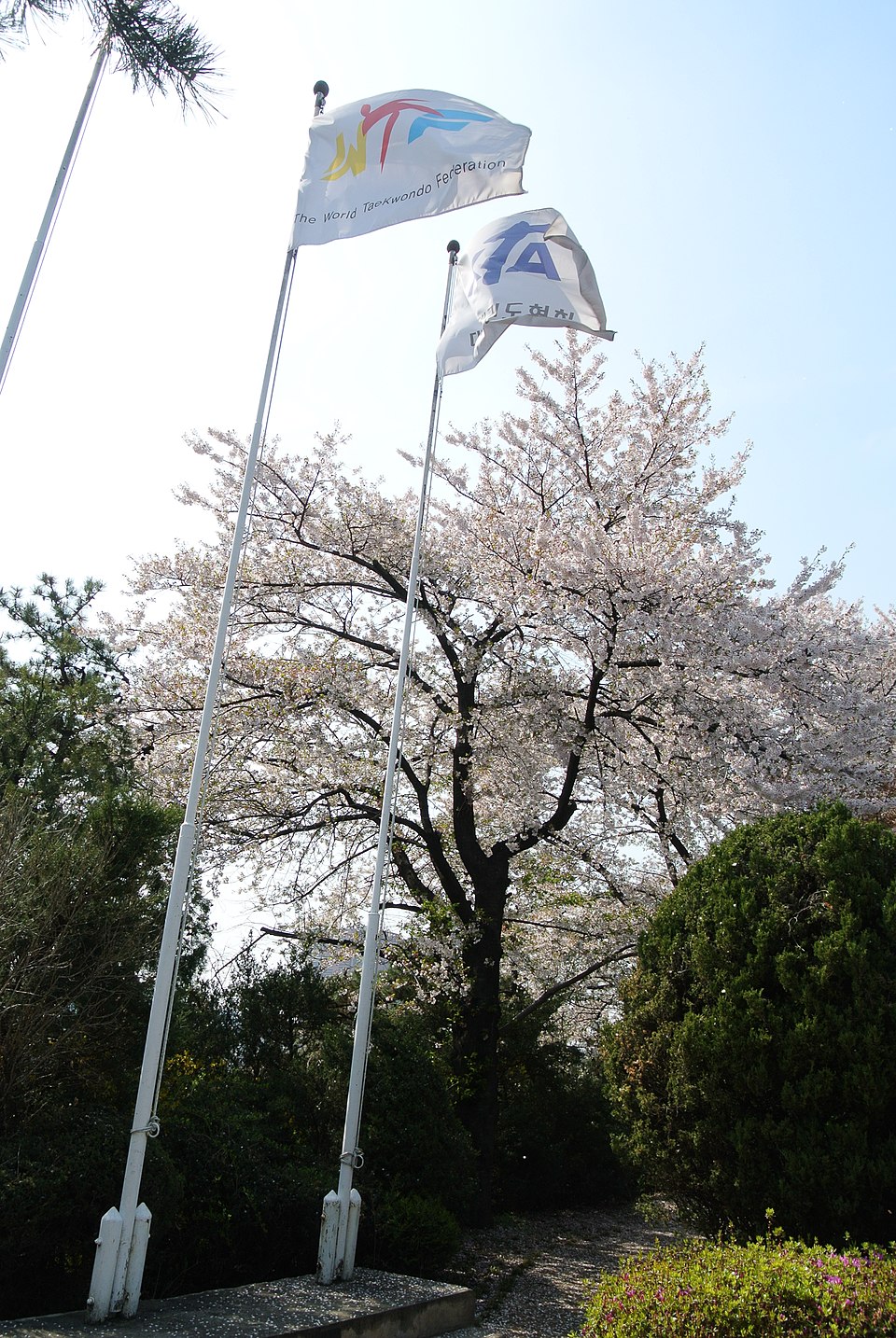 Chungwon Choue