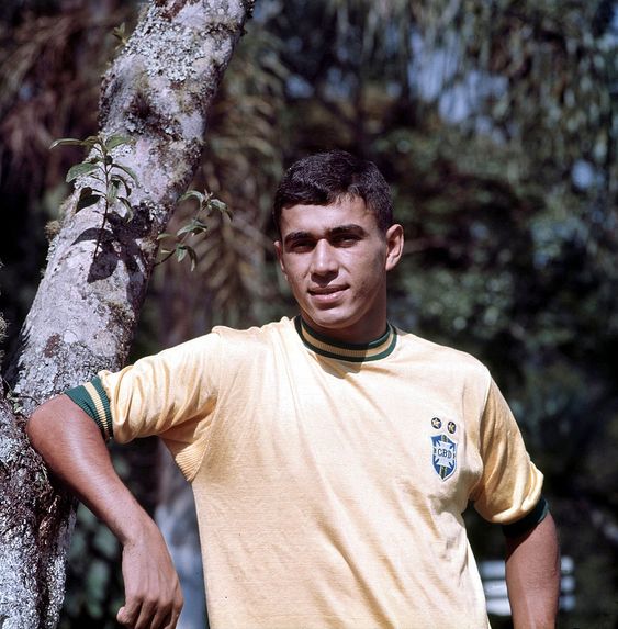 Clodoaldo