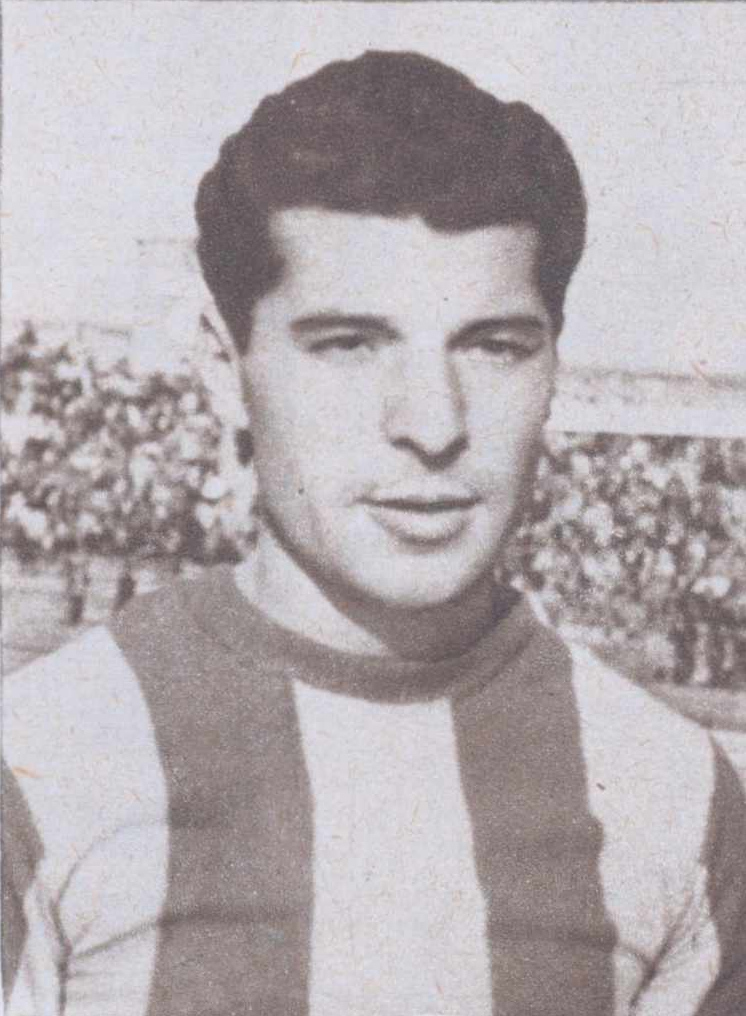 Constantin Dinulescu