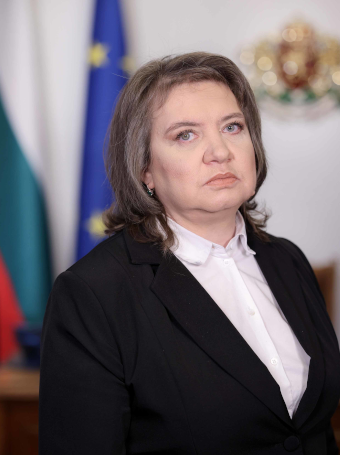 Constitutional Law Expert