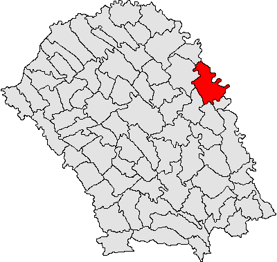 Cristinel Aroșculesei