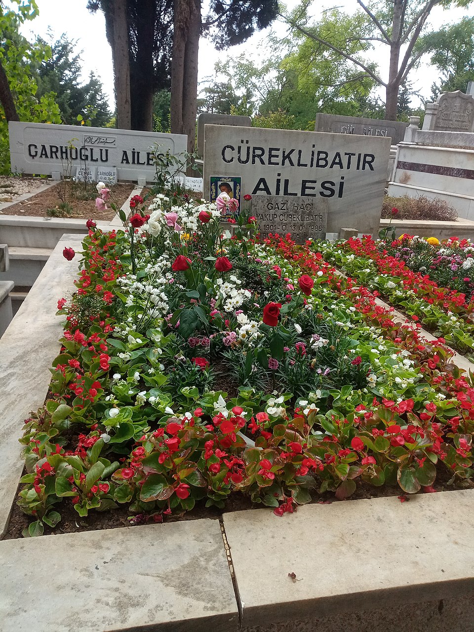Cüneyt Arkın